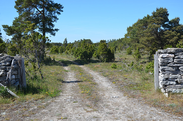 Fotograf: Henrik Johansson
Bildbyrå: Länsstyrelsen Gotlands grindhal-thumb-740x490-bt.jpg