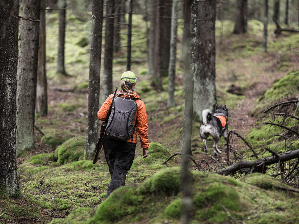 Jägare med hund i skogen.