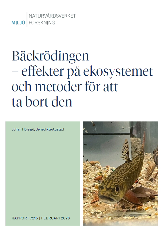 Omslagsbild till rapport