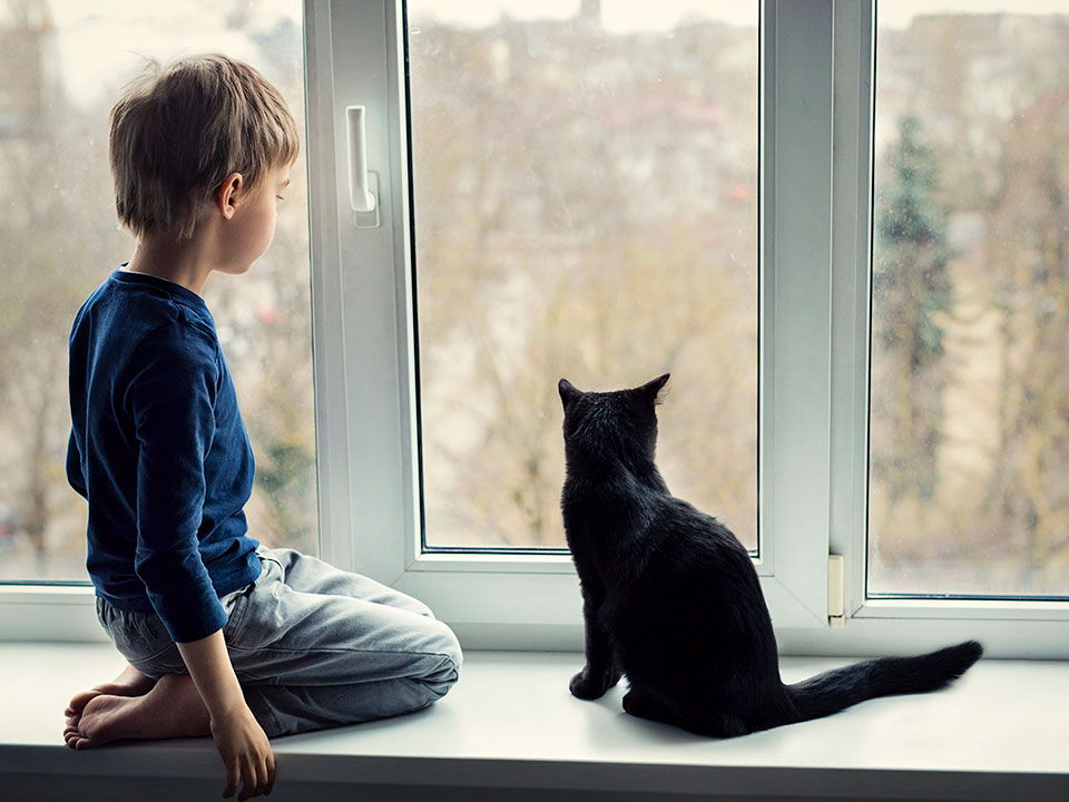 Fotograf: Martins Rudzitis
Bildbyrå: Getty Images En pojke och en svart katt sitter i ett fönster och tittar ut
