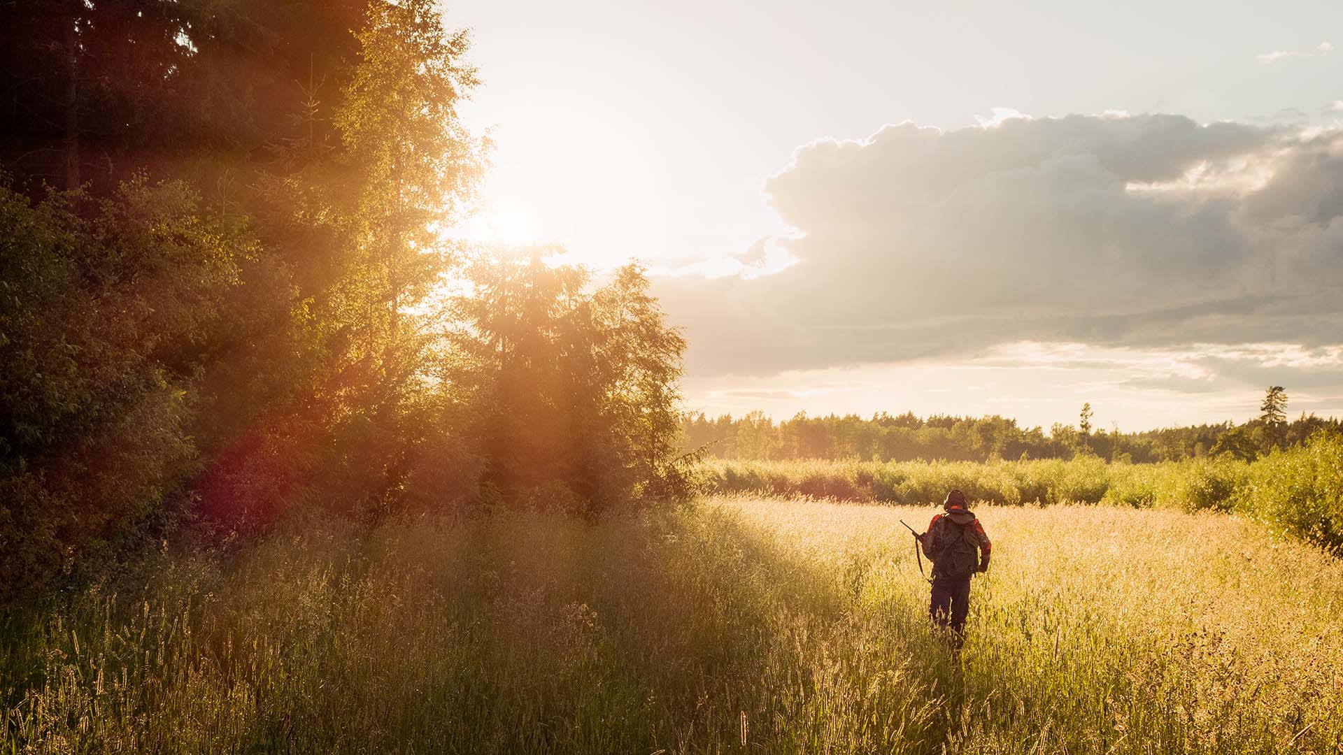 Fotograf: Hans Berggren
Bildbyrå: Johnér Hunter on a field.