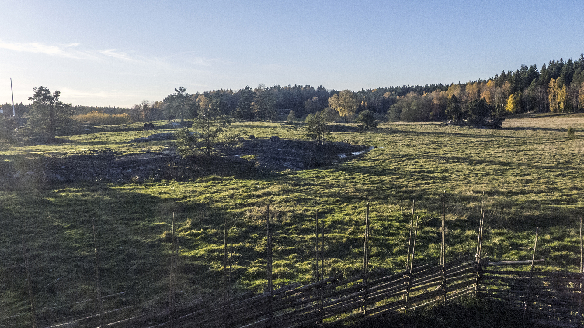 Fotograf: Naturvårdsverket. Betesmark/utmark, Tyresta.