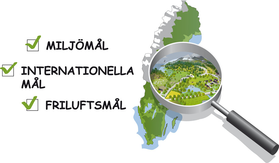 Fotograf: Kjell Ström Arbetet med grön infrastruktur medverkar till att Sverige uppfyller nationella miljö- och friluftsmål och internationella löften. Illustration: Kjell Ström.