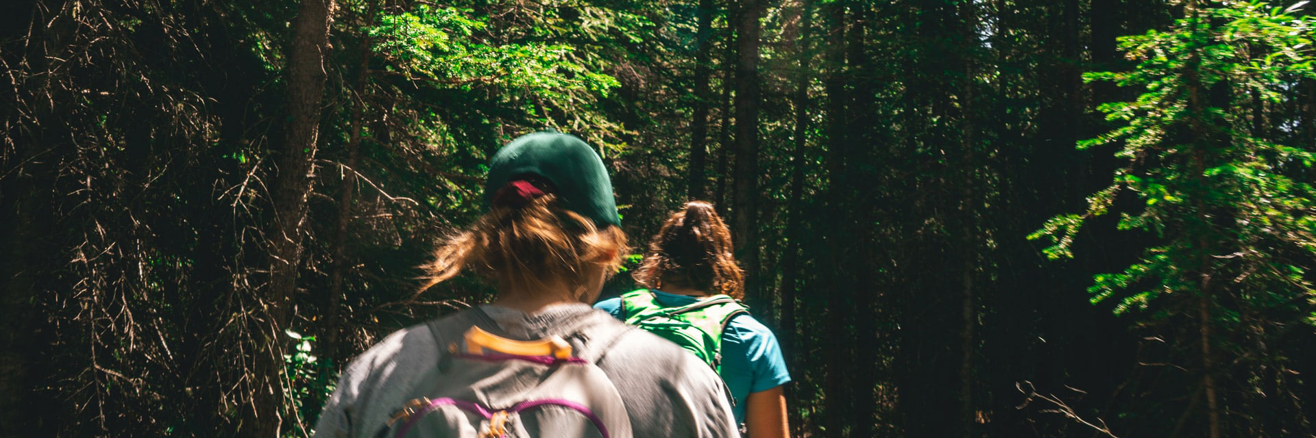 Fotograf: Ryan Gukert
Bildbyrå: Unsplash Två personer på vandring i skogen