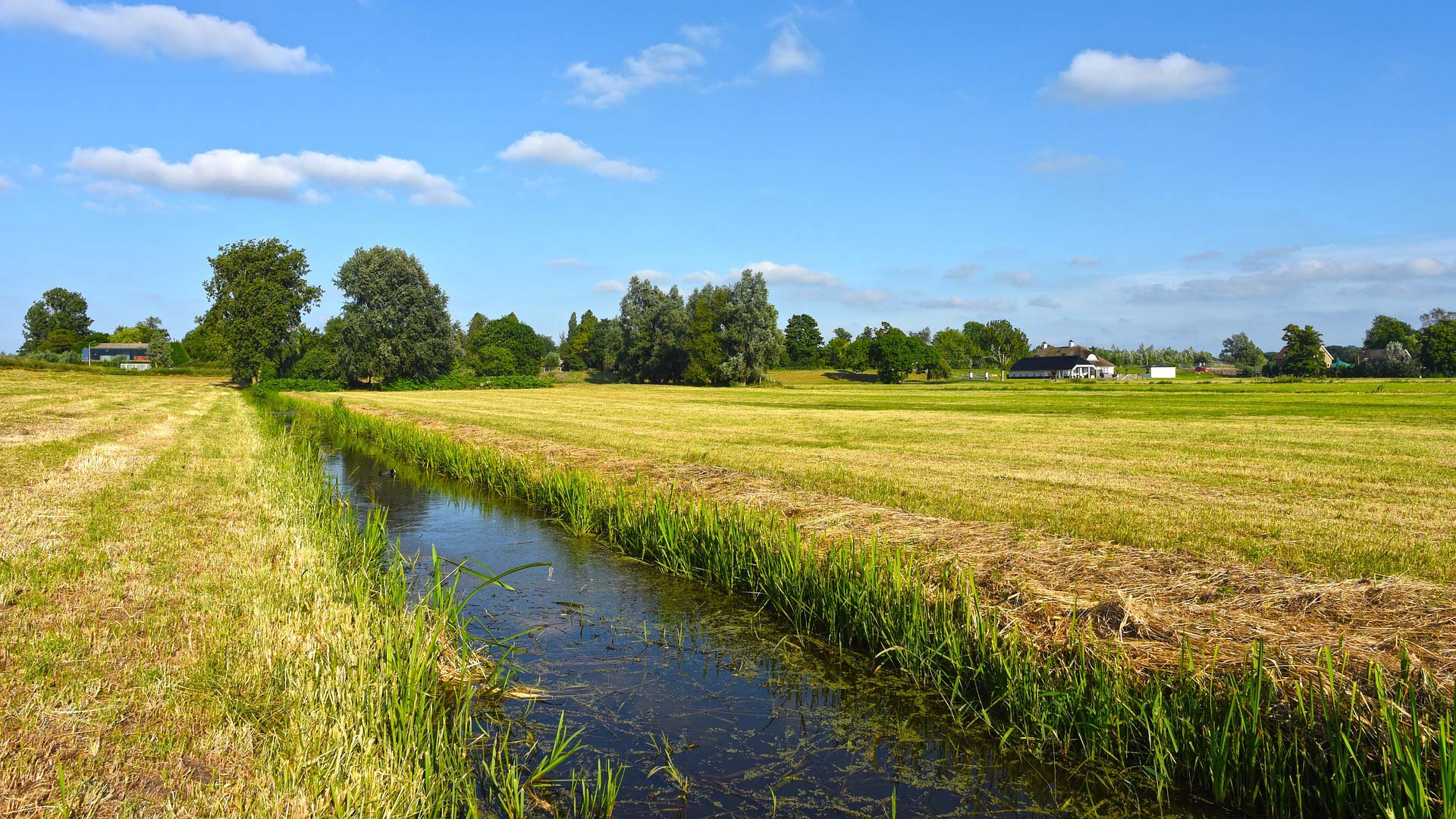 Fotograf: MabelAmber
Bildbyrå: Pixabay Ett fält med ett dike