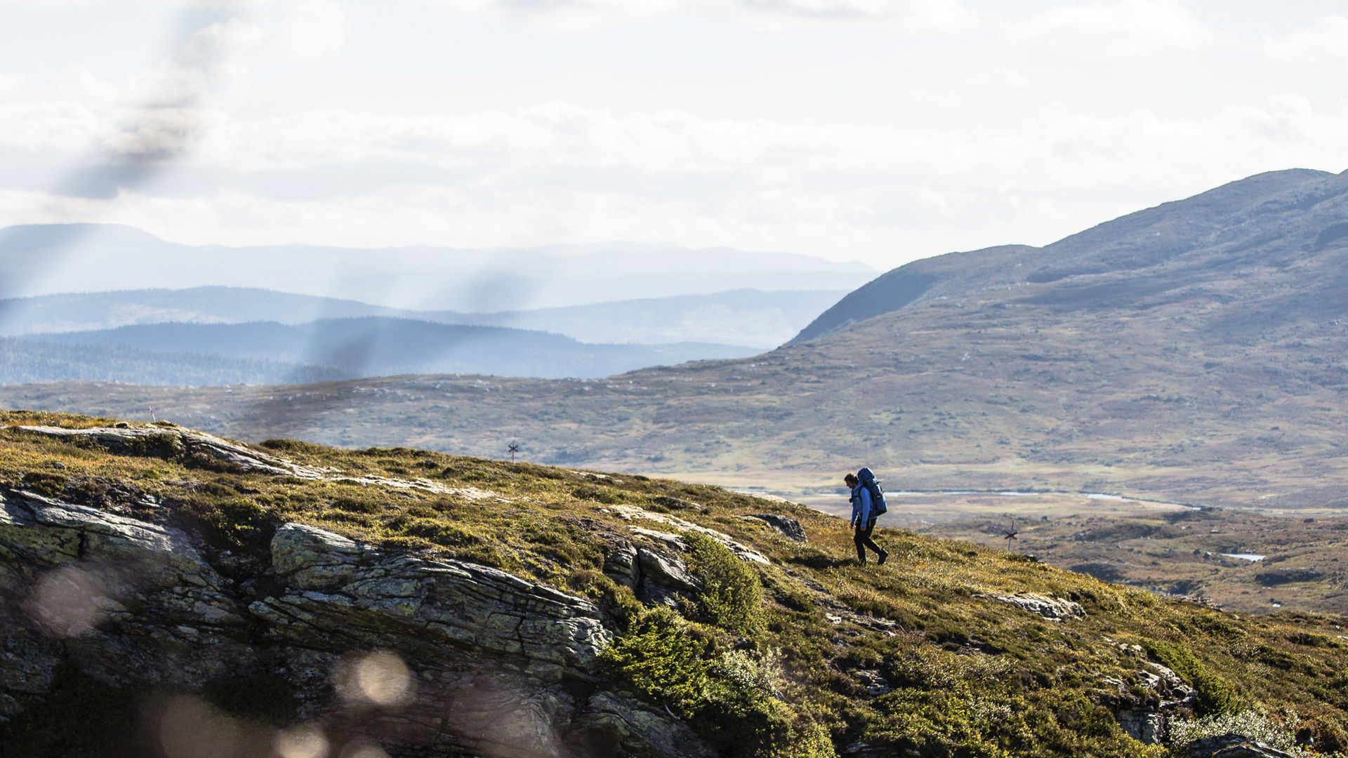 Photographer: Annette Andersson Person vandrar på fjället sommartid.