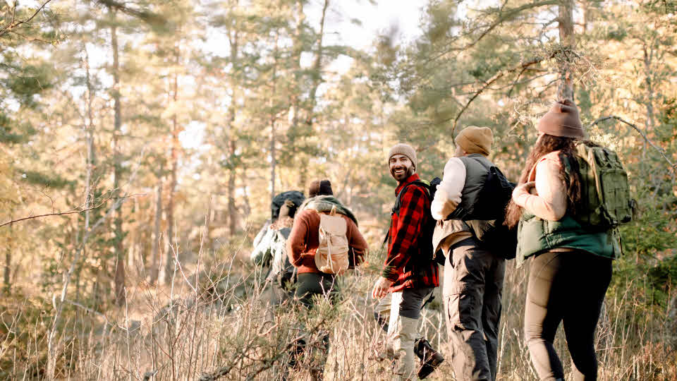 Flera personer led vandrar i skogen