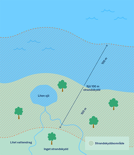 strandskydd_storrevatten_illustration.jpg