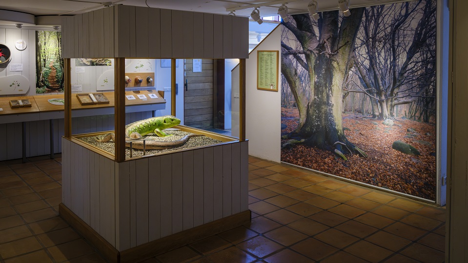 Fotograf: Andreas Lindahl Inifrån en utställning i Naturum