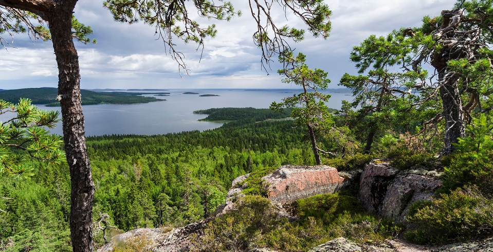 Fotograf: Klaus Steinkamp
Bildbyrå: Alamy Stock Photo and people, TT-bild Utsikt i Skuleskogen