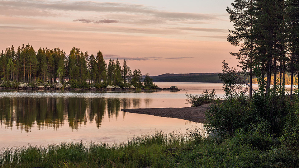 Fotograf: Ruslan Kalnitsky Kvällslandskap rosa himmel