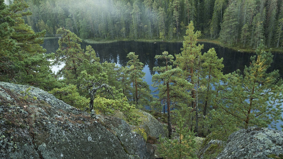 Fotograf: Fredrik Wilde Skogssjö
