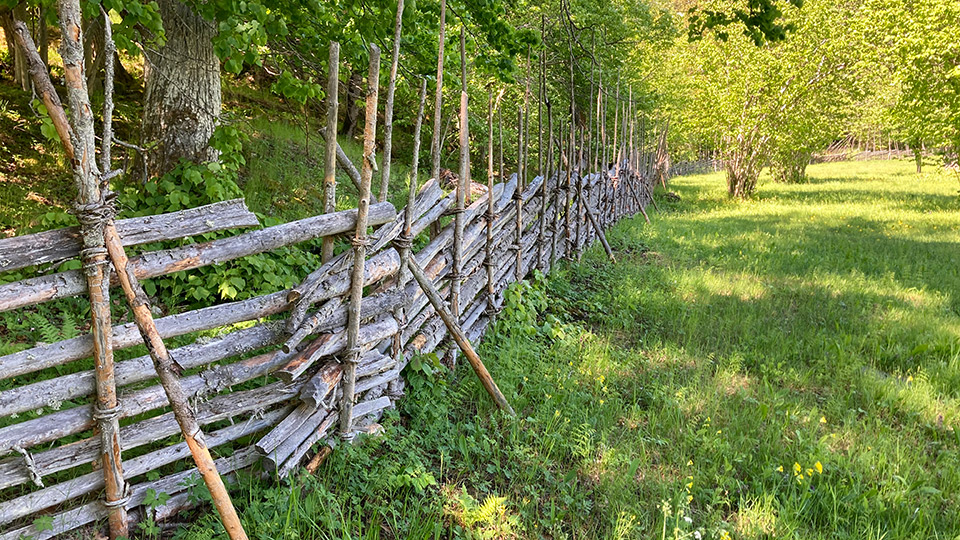 Fotograf: Länsstyrelsen Stockholms län gärdsgård
