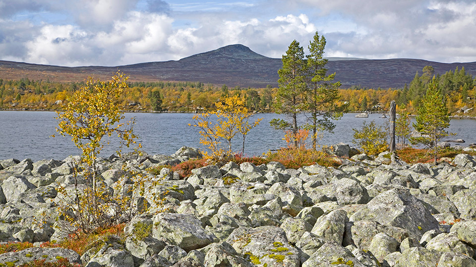 Fotograf: Bengt Ekman
Bildbyrå: Naturfotograferna, TT-bild Landskap