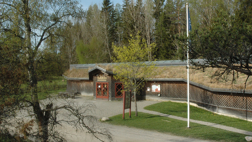 Fotograf: Stiftelsen Tyrestaskogen Naturum i Tyresta