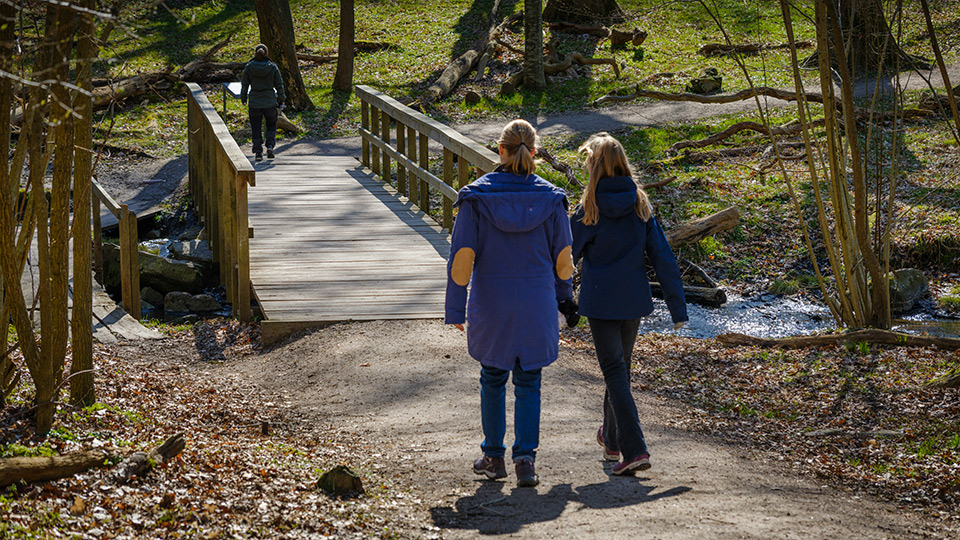 Fotograf: Andreas Lindahl Promenad i Dalby Söderskog