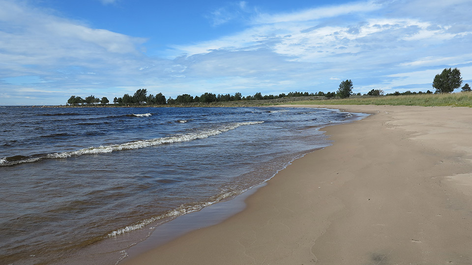Fotograf: Anna Berhan En strand i Haparanda skärgårds nationalpark