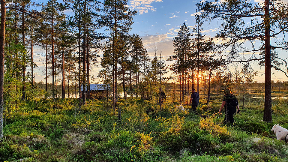 Fotograf: Anna Kjellander Promenad på stig med solnedgång i bakgrunden