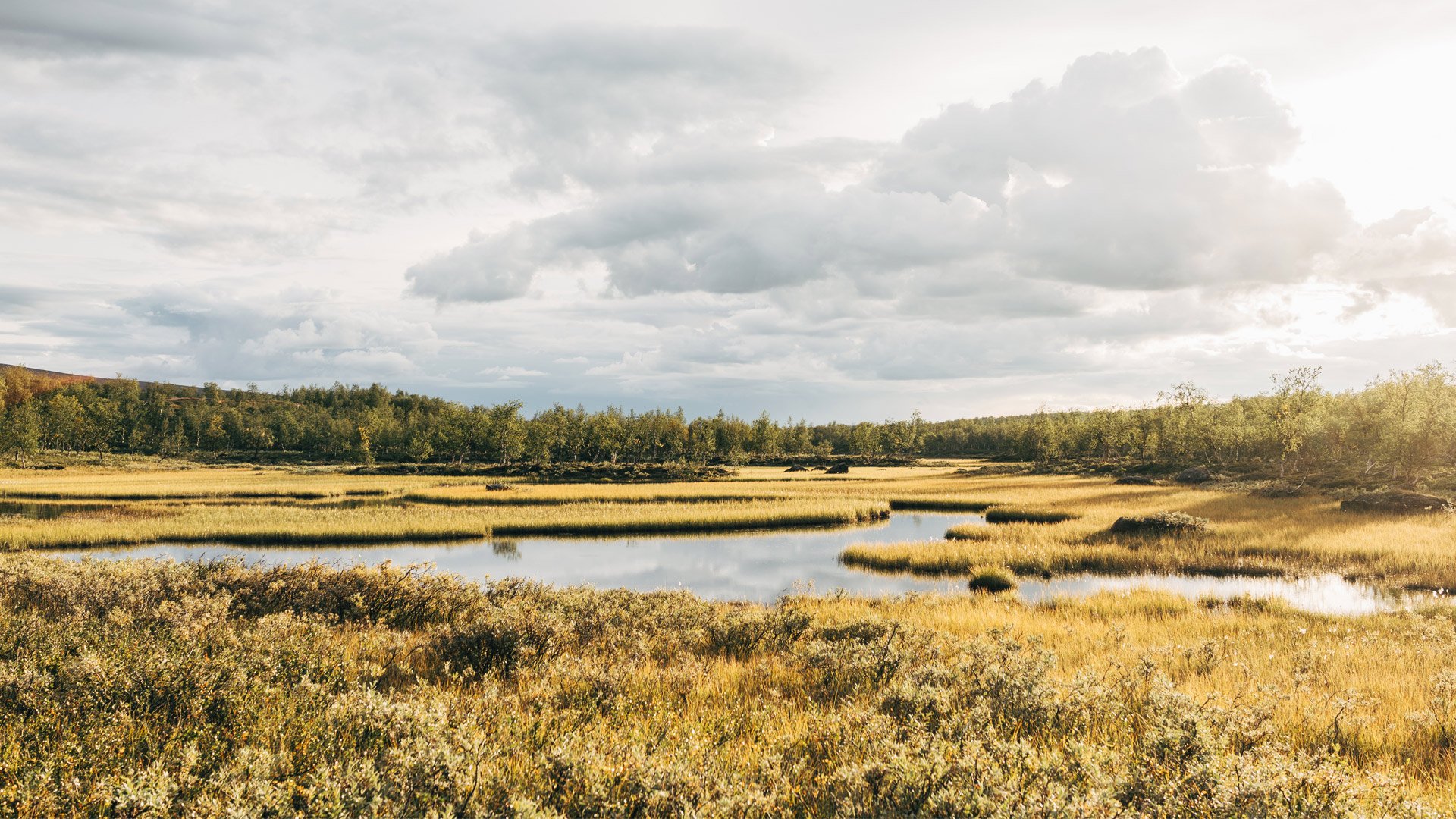 Fotograf: Peter Westrup
Bildbyrå: Johnér Våtmark, Sverige.