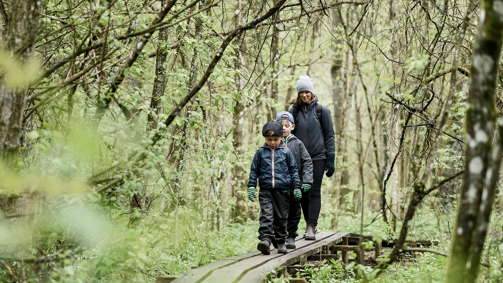 Fotograf: Stefan Isaksson
Bildbyrå: Johnér En kvinna och två barn går på en spång i skogen.