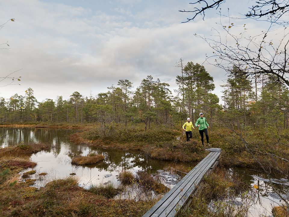 Fotograf: Jonas Gunnarsson
Bildbyrå: Johnér Två personer på löptur i våtmark