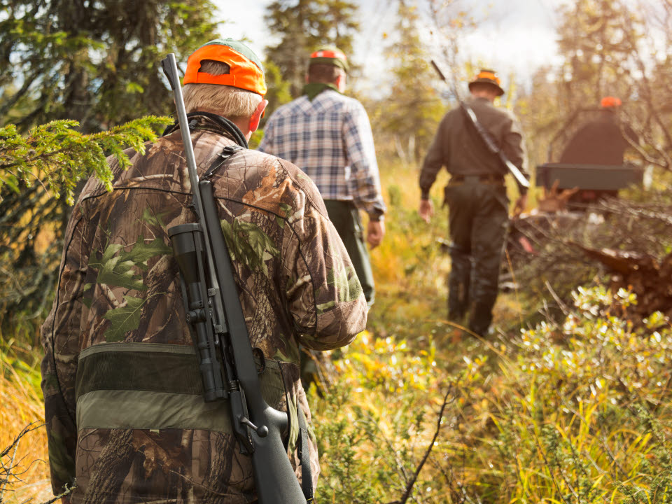 A group of hunters are transporting a moose using an off-road vehicle.