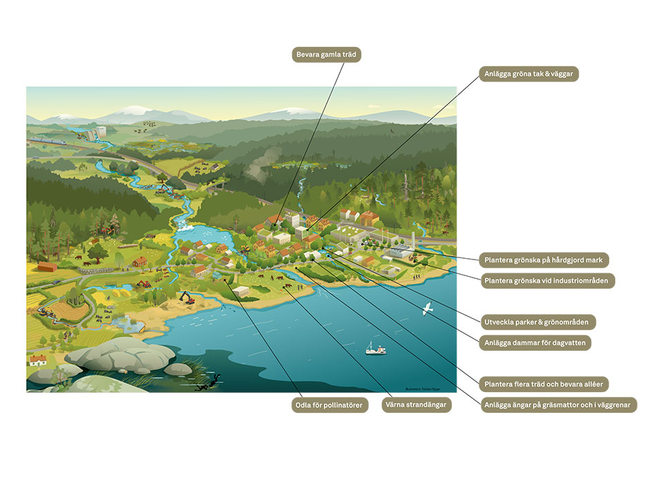 Illustration som visar restaurering av urbana ekosystem