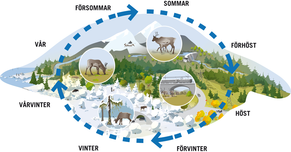Renens behov av grön infrastruktur i landskapet. Illustration: Kjell Ström.
