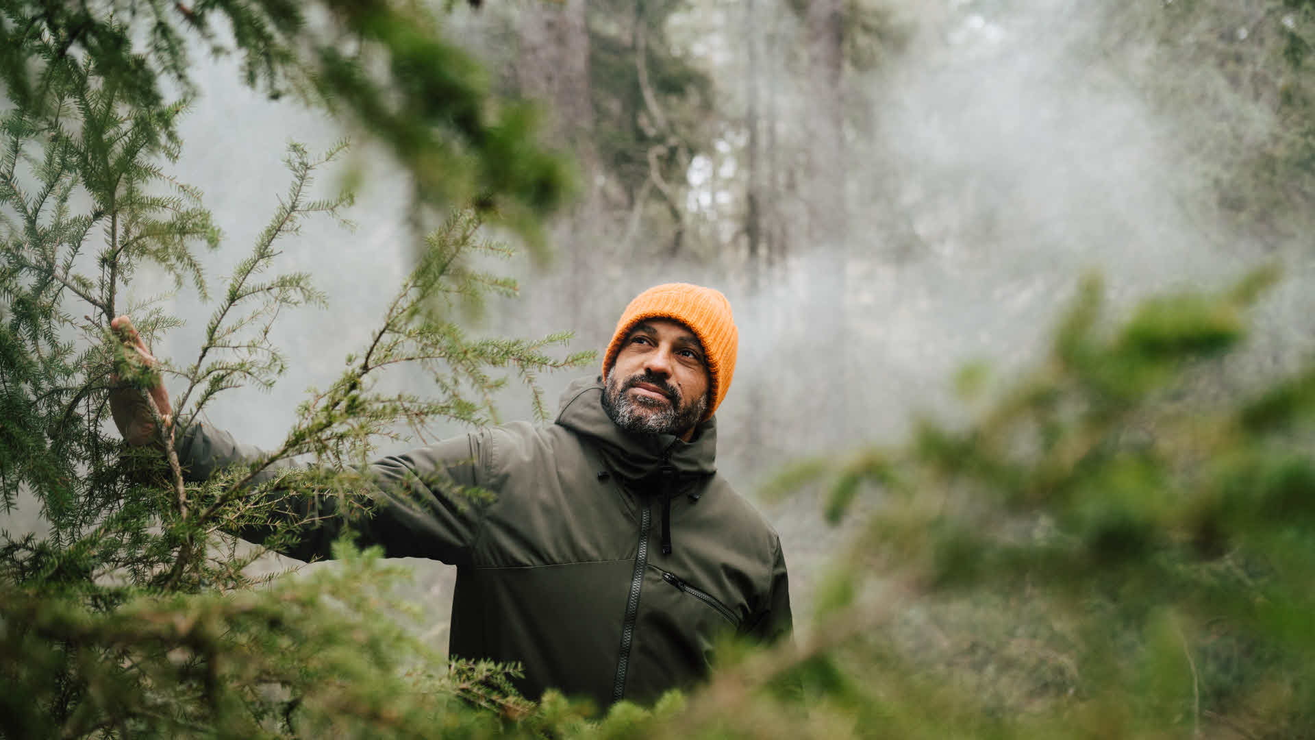 Fotograf: Maskot bildbyrå
Bildbyrå: Johnér En man kikar fram i skogen
